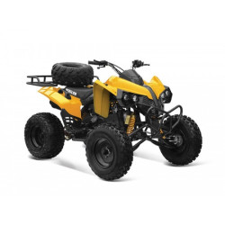 Carena ATV 200-250cc Grizzly
